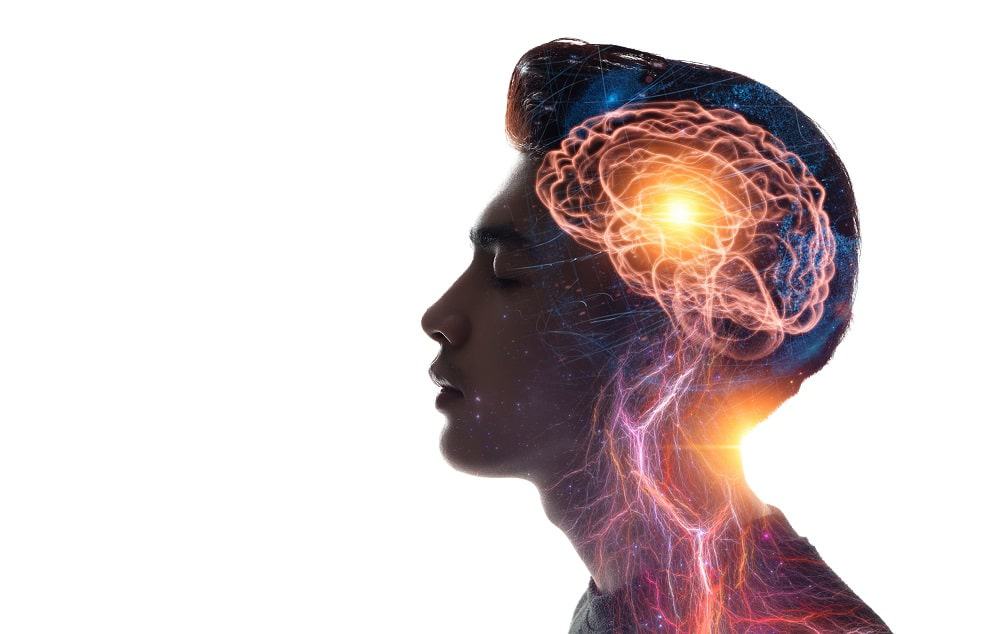 INOVAÇÃO URGENTE: O cérebro navega o mundo — e a imaginação — com os mesmos ritmos internos
