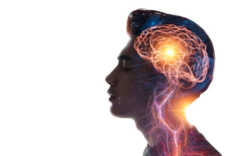 INOVAÇÃO URGENTE: O cérebro navega o mundo — e a imaginação — com os mesmos ritmos internos