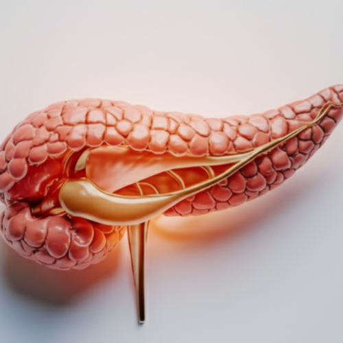 O microambiente tumoral do pâncreas