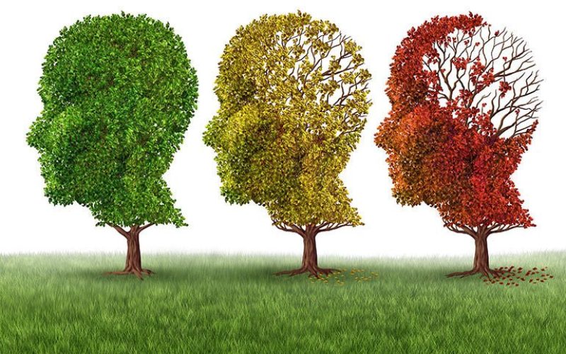 INOVAÇÃO URGENTE: Biomarcadores de imagem da rede cerebral avançam para desvendar o declínio cognitivo