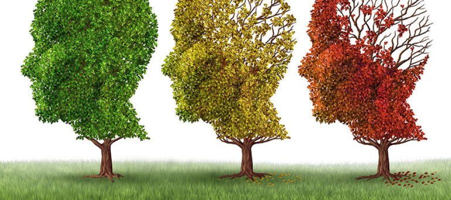 INOVAÇÃO URGENTE: Biomarcadores de imagem da rede cerebral avançam para desvendar o declínio cognitivo